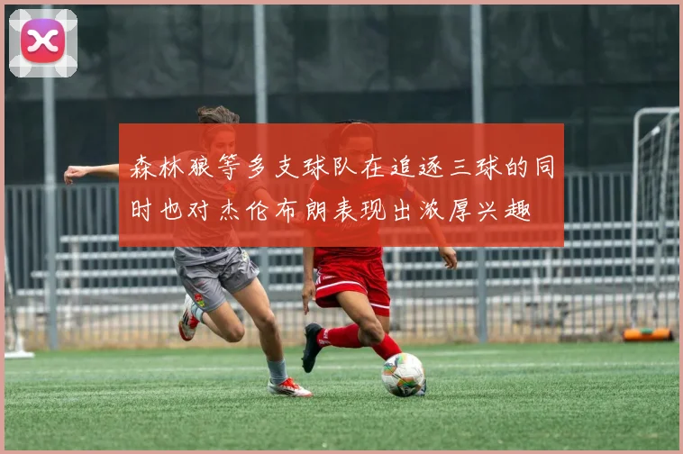 森林狼等多支球队在追逐三球的同时也对杰伦布朗表现出浓厚兴趣