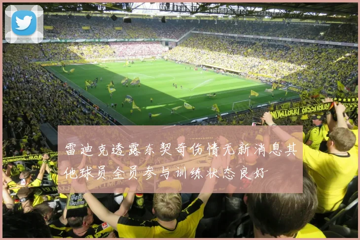 雷迪克透露东契奇伤情无新消息其他球员全员参与训练状态良好