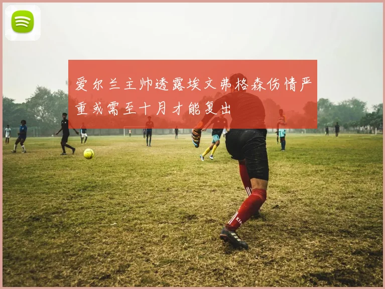 爱尔兰主帅透露埃文弗格森伤情严重或需至十月才能复出